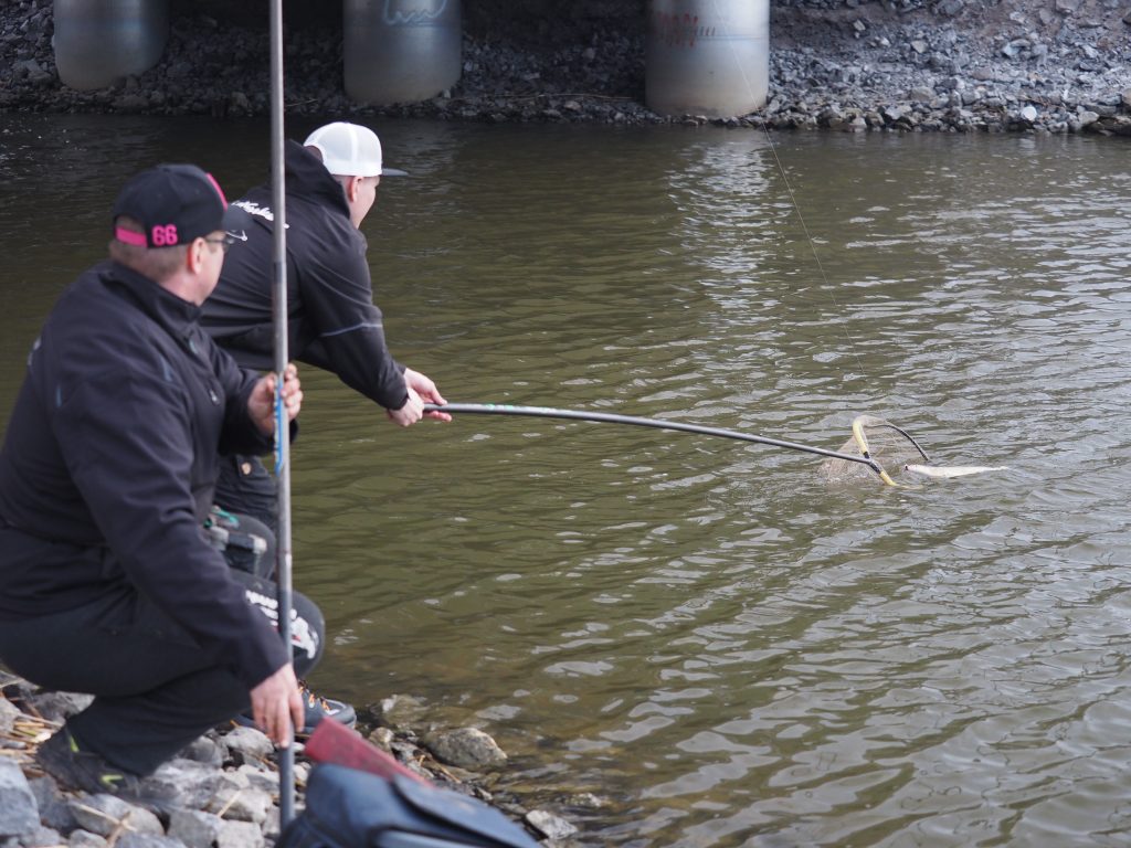 Kalan haavitseminen Street Fishing-kilpailussa Kalan haavitseminen Street Fishing-kilpailussa